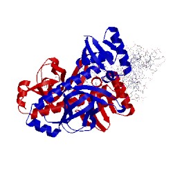 Image of CATH 1zrc