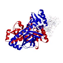 Image of CATH 1zre