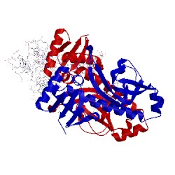 Image of CATH 1zrf