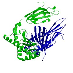 Image of CATH 1zt4