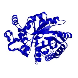 Image of CATH 1zua
