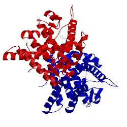 Image of CATH 1zuc