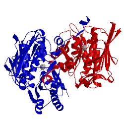 Image of CATH 1zxm