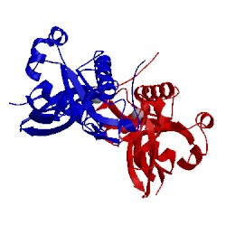 Image of CATH 1zxz