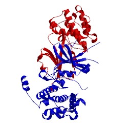 Image of CATH 1zy4