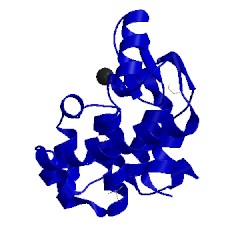 Image of CATH 223l
