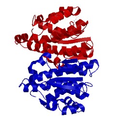 Image of CATH 22gs