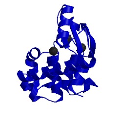 Image of CATH 259l