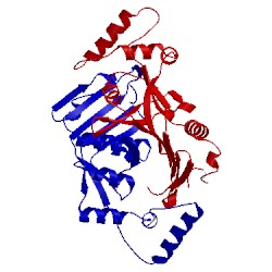 Image of CATH 2a2j
