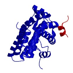 Image of CATH 2a3i