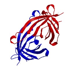 Image of CATH 2a5b