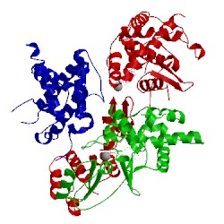 Image of CATH 2a5y