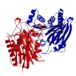 Image of CATH 2a8l