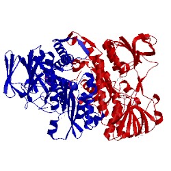 Image of CATH 2a8x