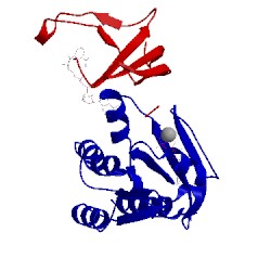 Image of CATH 2a9k