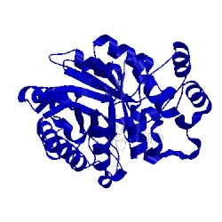 Image of CATH 2acq