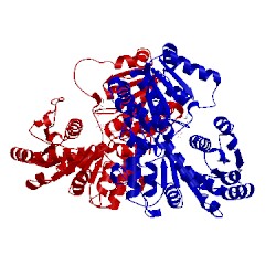 Image of CATH 2acv