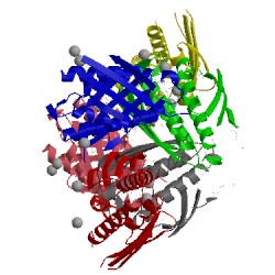 Image of CATH 2ae8