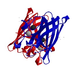 Image of CATH 2aeo
