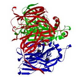 Image of CATH 2afn