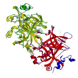 Image of CATH 2afq