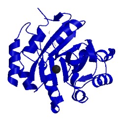Image of CATH 2agk