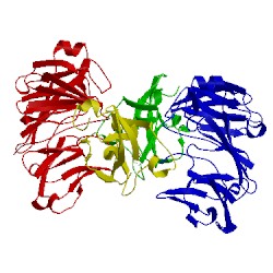 Image of CATH 2agl