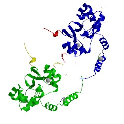 Image of CATH 2ahj