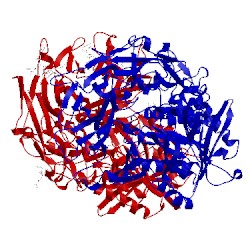 Image of CATH 2ajl