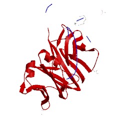 Image of CATH 2ajs