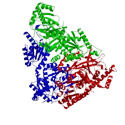 Image of CATH 2ajt