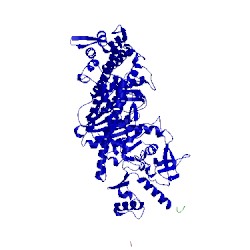 Image of CATH 2aka