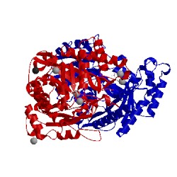 Image of CATH 2al1