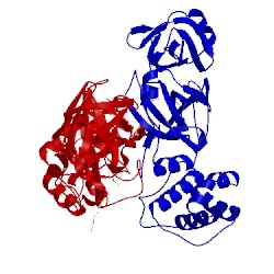 Image of CATH 2amq