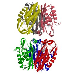 Image of CATH 2amt