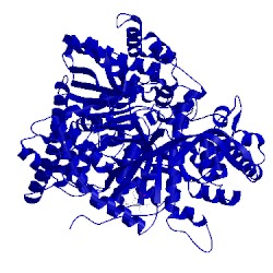 Image of CATH 2amv