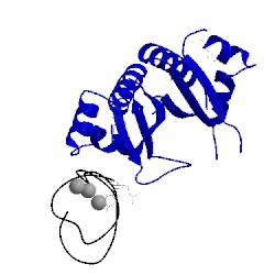 Image of CATH 2anr