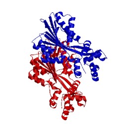 Image of CATH 2aot