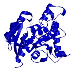 Image of CATH 2aqi