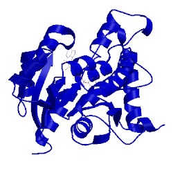 Image of CATH 2aqk