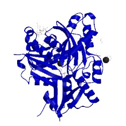 Image of CATH 2asm