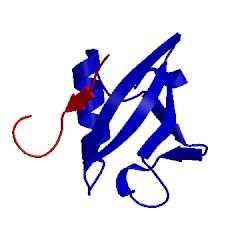 Image of CATH 2asq