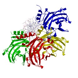 Image of CATH 2ata