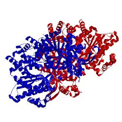 Image of CATH 2ati