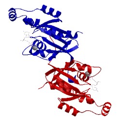 Image of CATH 2atx