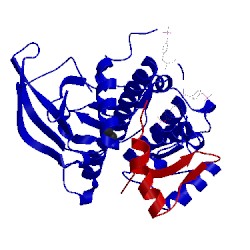 Image of CATH 2auh