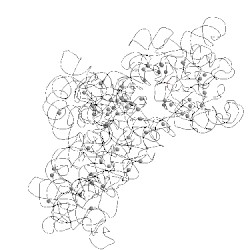 Image of CATH 2avy