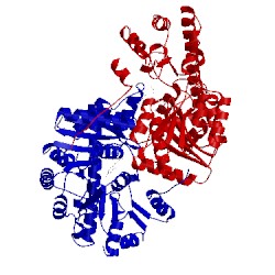 Image of CATH 2ay4
