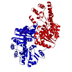 Image of CATH 2ay6