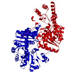 Image of CATH 2ay7